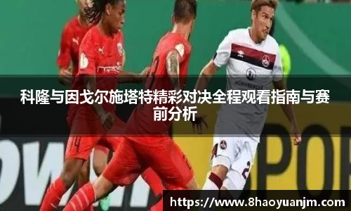 long8唯一官网登录