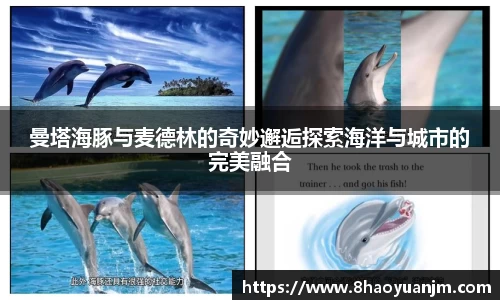 龙8官网