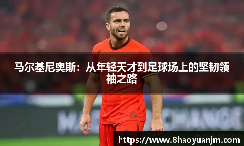 龙8官网